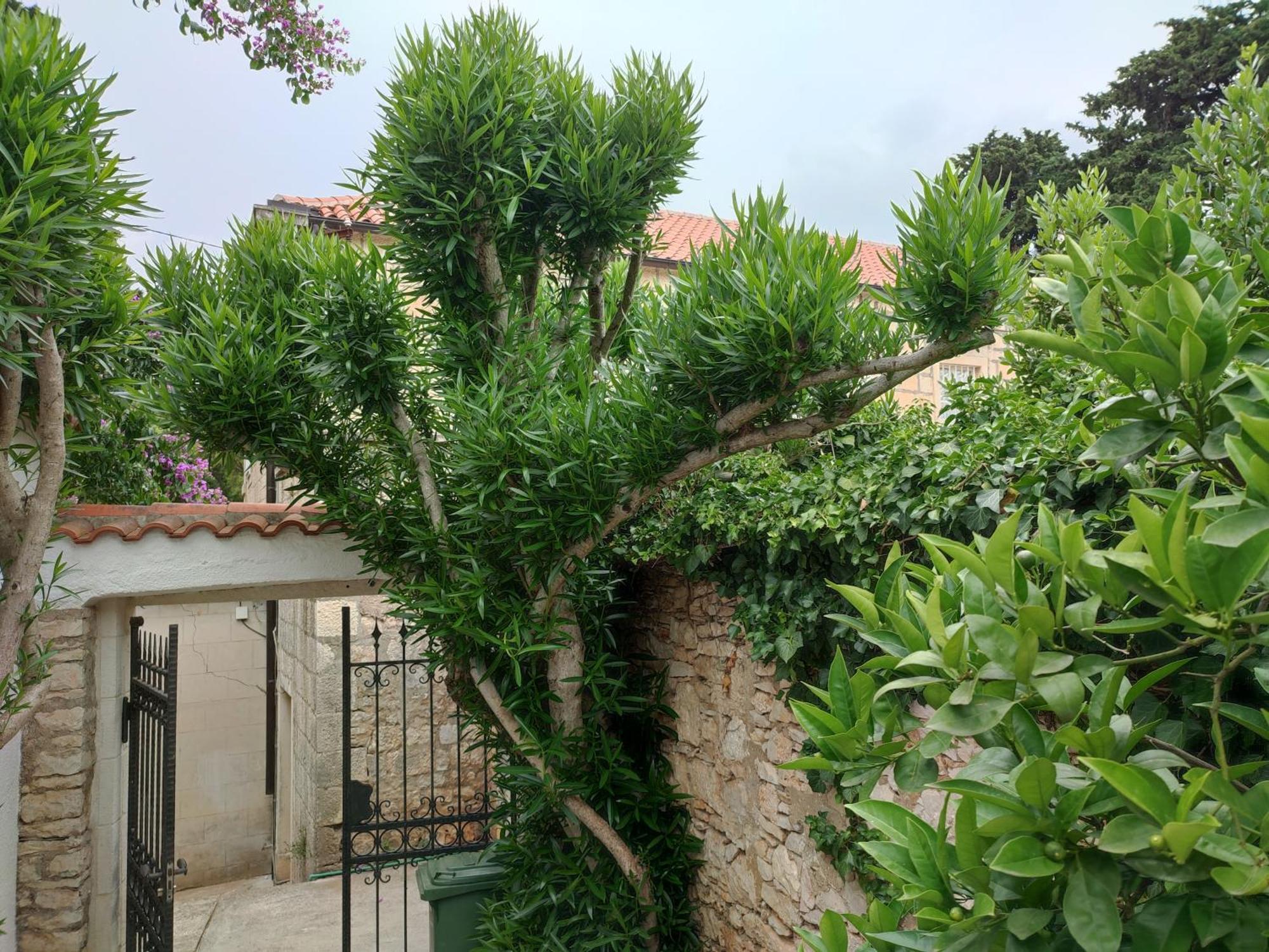 Villa Rustika Sutivan Exterior foto